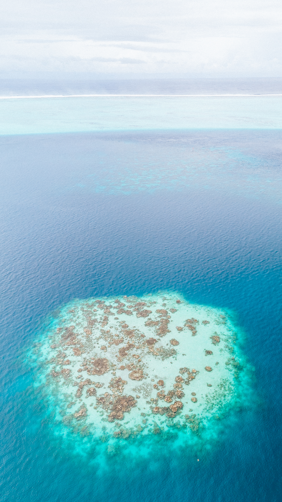 Vista aérea de las aguas turquesas y del arrecife de Raiatea