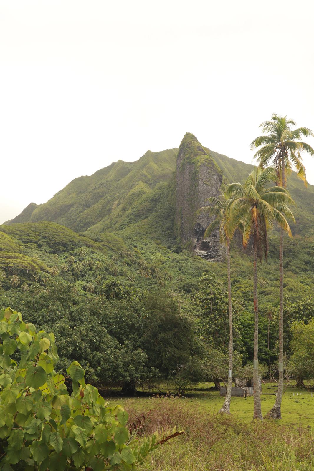 Montañas y vegetación tropical de Raiatea