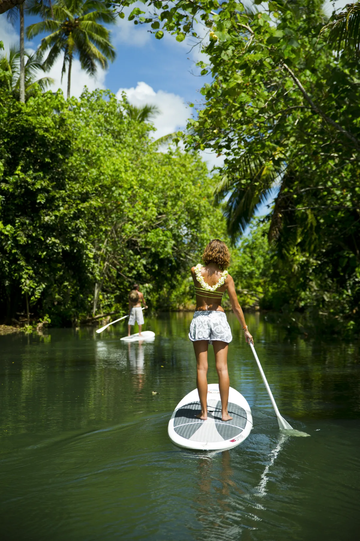 Balade en paddle sur une rivière de Raiatea